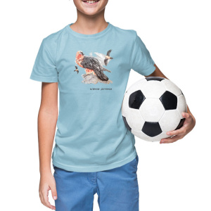 Camiseta Ordesa